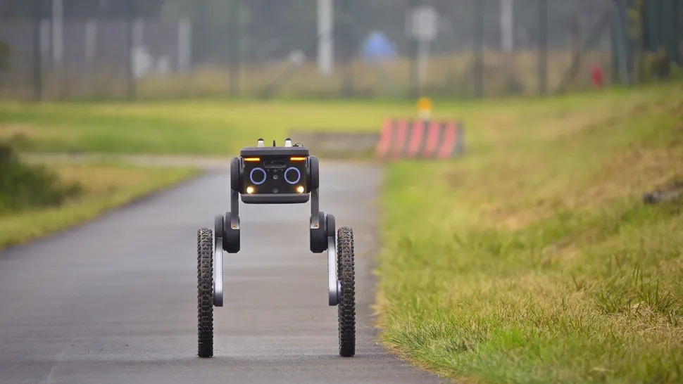 An autonomous patrol robot at Liege airport on September 30, 2025. (Photo by JOHN THYS/Belga/AFP via Getty Images) (Image credit: Getty Images)